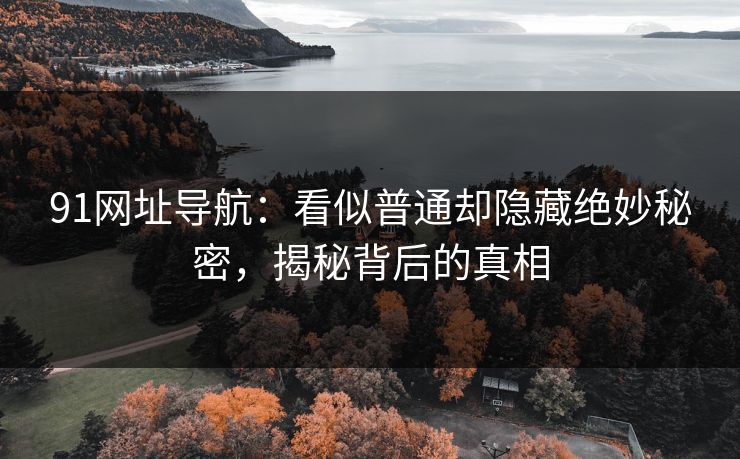 91网址导航：看似普通却隐藏绝妙秘密，揭秘背后的真相