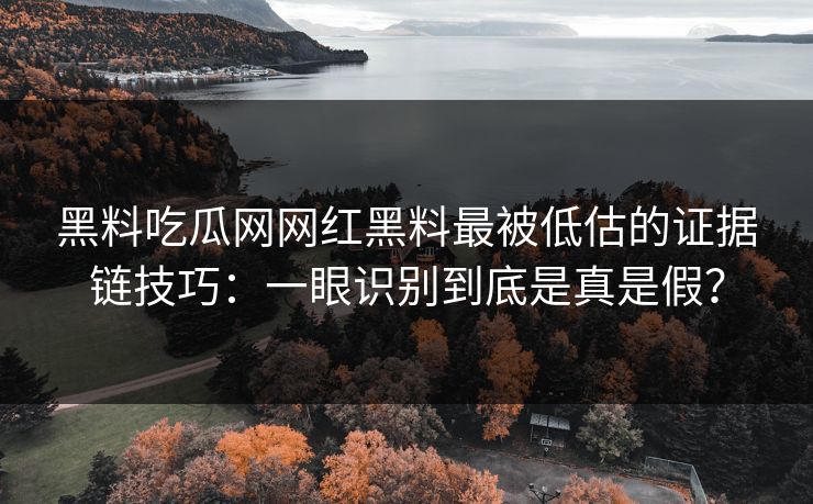 黑料吃瓜网网红黑料最被低估的证据链技巧：一眼识别到底是真是假？